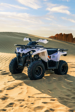 Квадроцикл SHARMAX Hummer 300