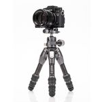 Штатив Benro TTOR03CGX25