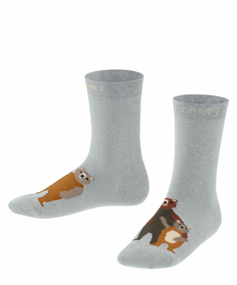 Носки Bear Family FALKE 10463/3355
