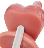 Телесный вибратор-реалистик 26см с имитация семяизвержения и пультом ДУ Bior Toys Erowoman ER-30109