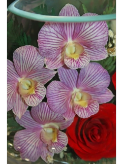 натуральные цветы в стекле, вакуум