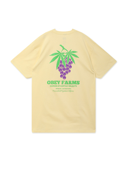 Мужская Футболка Obey Farms
