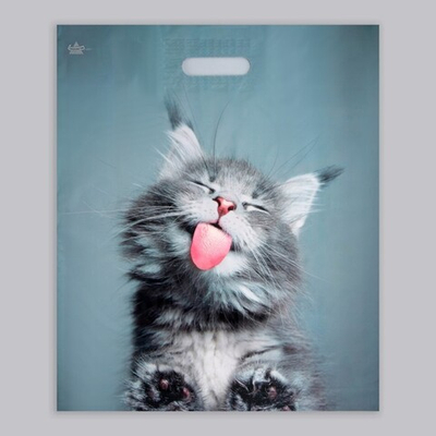 Пакет "Кот", полиэтиленовый, с вырубной ручкой, 38 х 45 см, 60 мкм