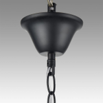 Подвесная люстра Lumion NANA 8106/8