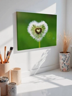 Картина на стену 40 X 50 Одуванчик