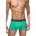 Трусы мужские боксеры зеленые с принтом "огонь" DARKZONE DZN5005