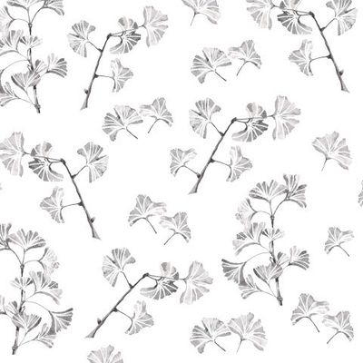 Листья гинкго