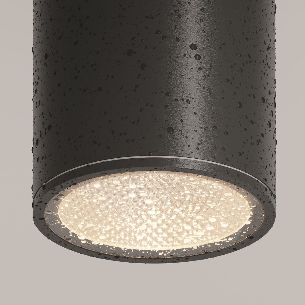 Потолочный светильник Outdoor O306CL-L12GF