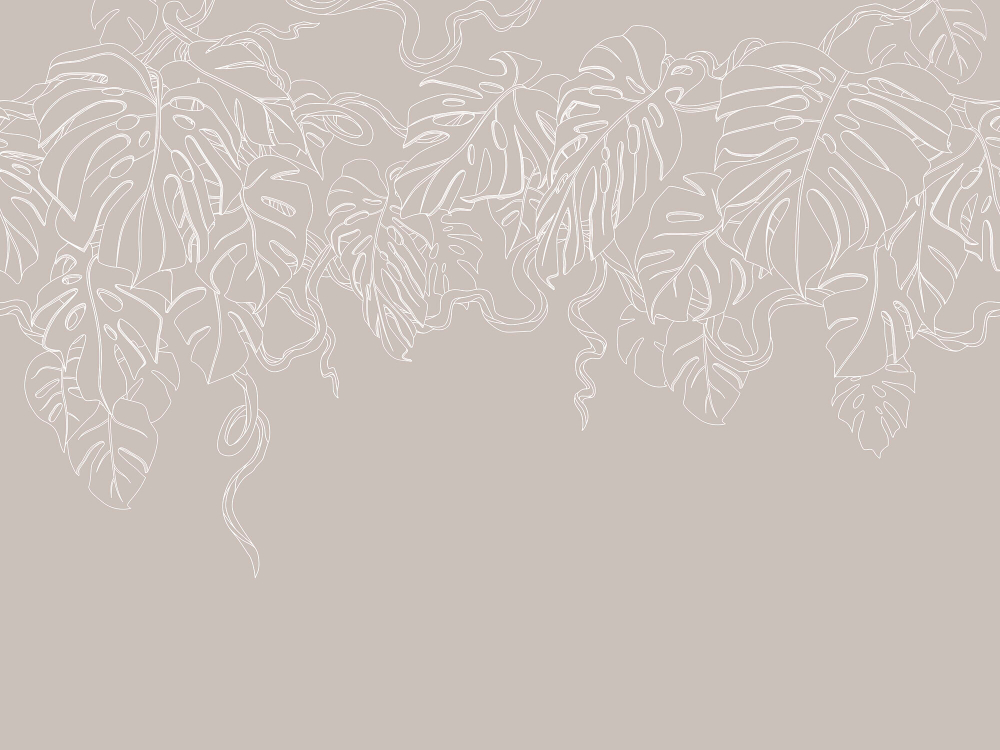 Коллекция Line art