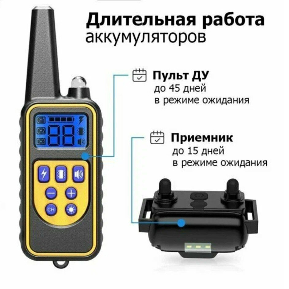 Электронный ошейник для дрессировки собак