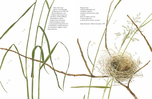 Книга злаков и трав