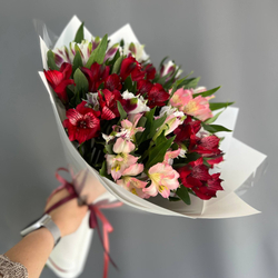 Альстромерия микс