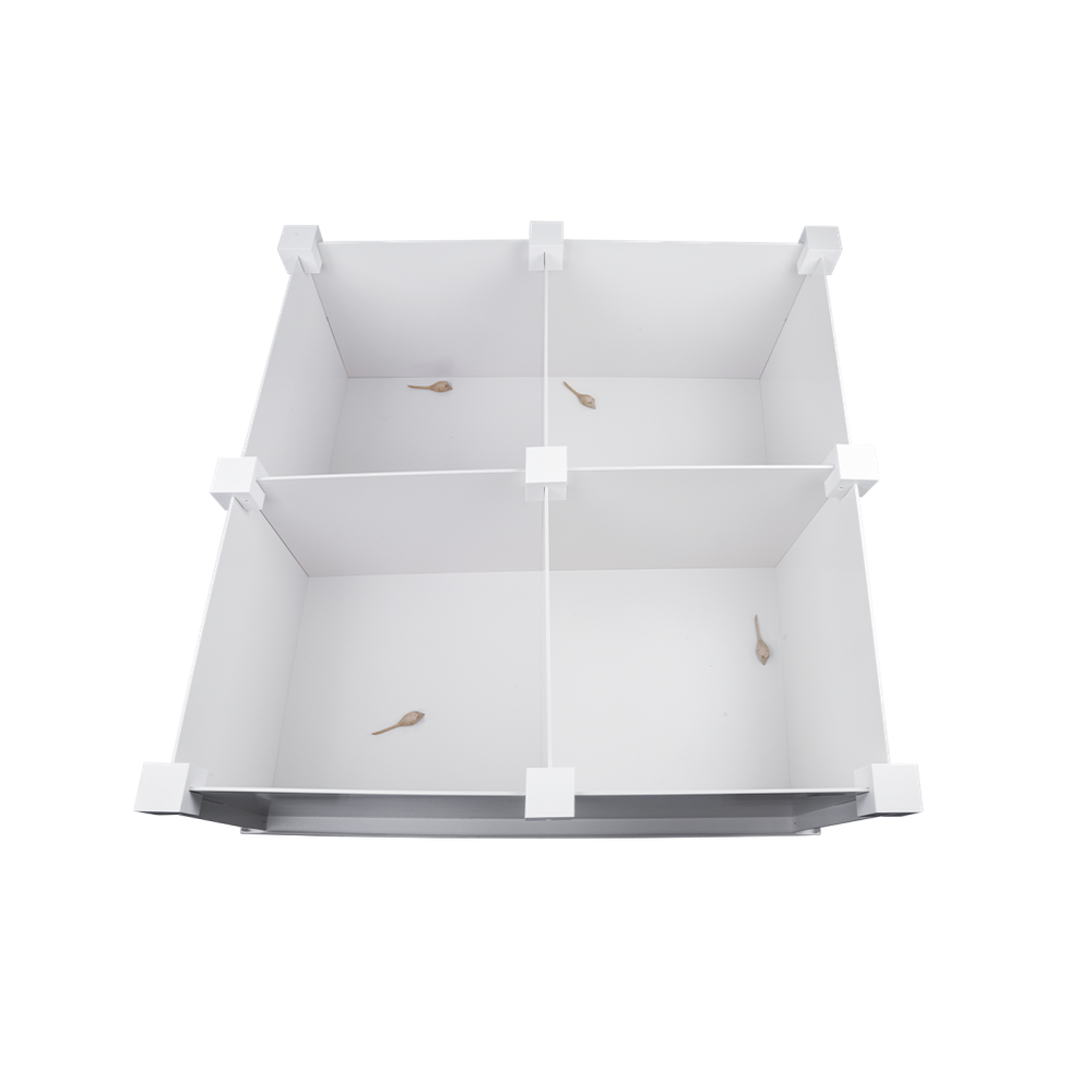 Открытое поле