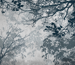 Коллекция VETVE