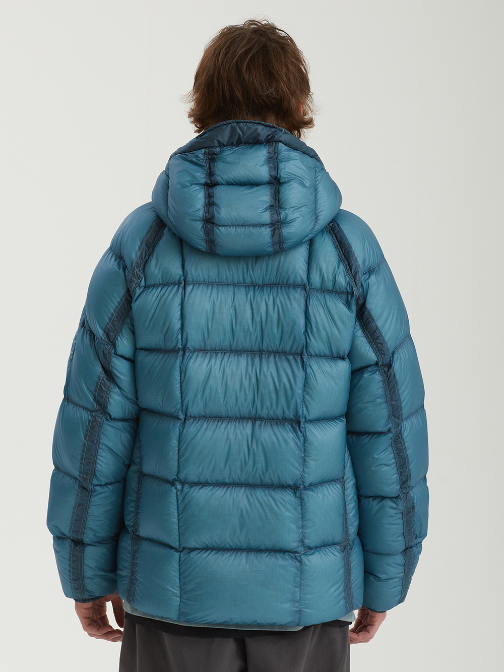 Мужской Пуховик In Dd-shell