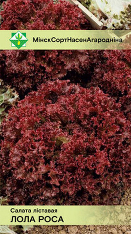 Салат листовой "Лолло Росса" 0,8г, Италия.