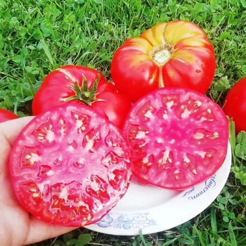 Помидоры - Big Deddy - Большой Папочка