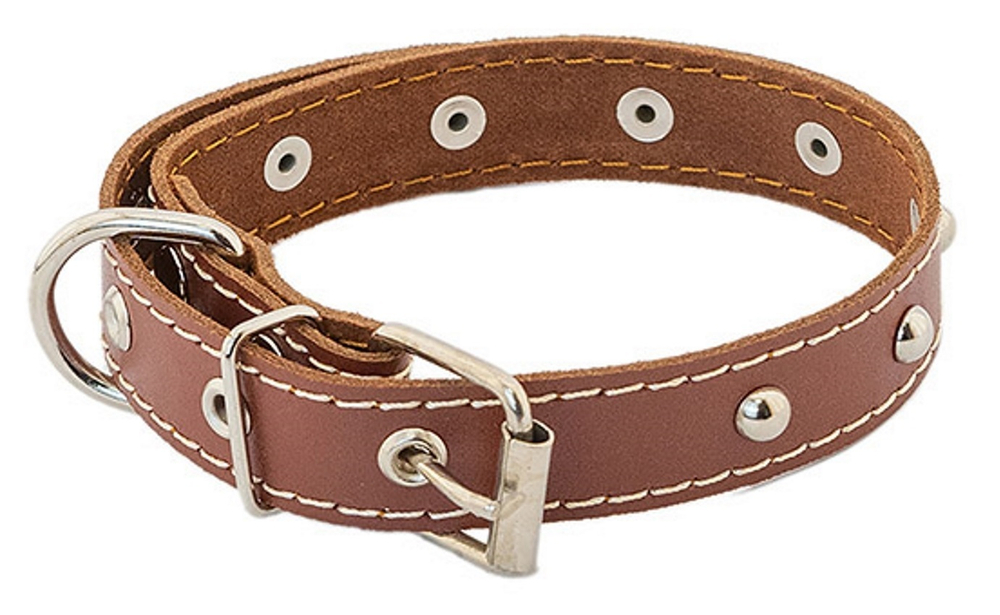 Ошейник Боттега из кожи простроченный коричневый для собак 25 мм обхват шеи 39-49 см.