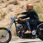 Lane Splitter Gloss / Коричневый