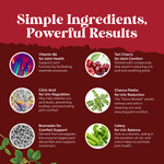 Nature's Craft, формула с мочевой кислотой, 120 капсул