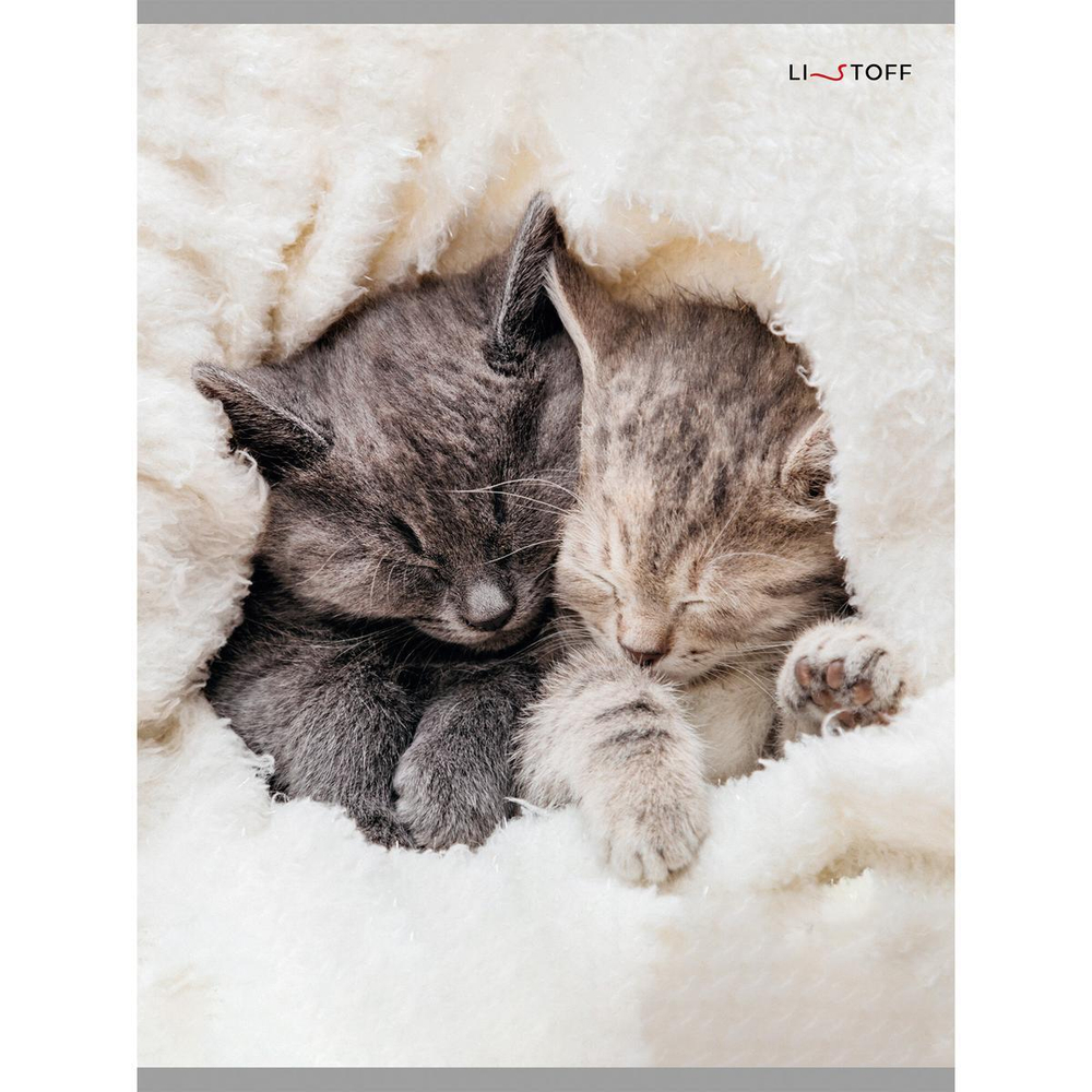 Тетрадь А4 48л клетка "Пушистый сон" (Эксмо)