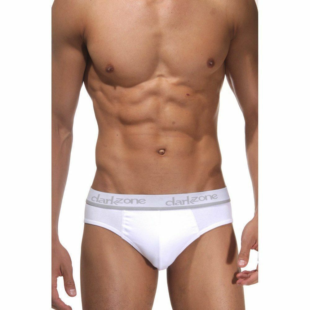 Трусы мужские слипы белые DARKZONE DZN6302