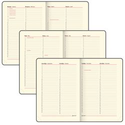 Ежедневник недатированный А5 "Metropolis Mix" (113295) 7