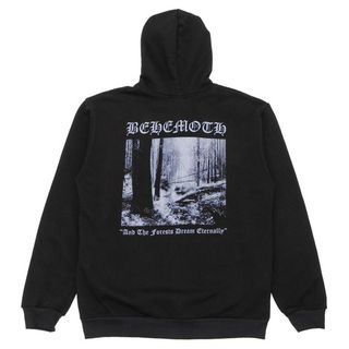 Толстовка на молнии Behemoth And the Forests Dream Eternally (060)