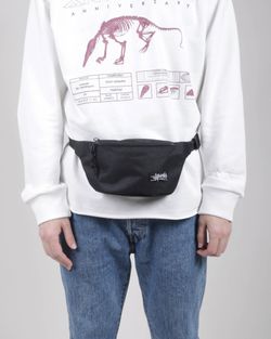 Сумка поясная Anteater Waistbag Light Black
