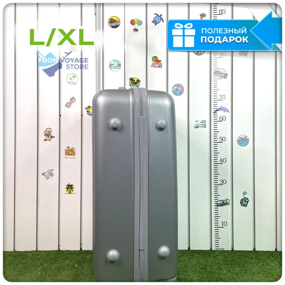 Большой чемодан King of King, Серебристый, L