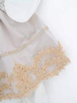 Комплект на выписку с переноской