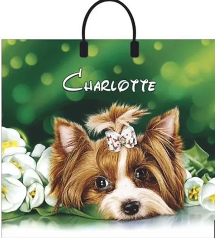 Пакеты с пластиковыми ручками "Шарлотта" 38х35+10см 90мкм (10/100шт)