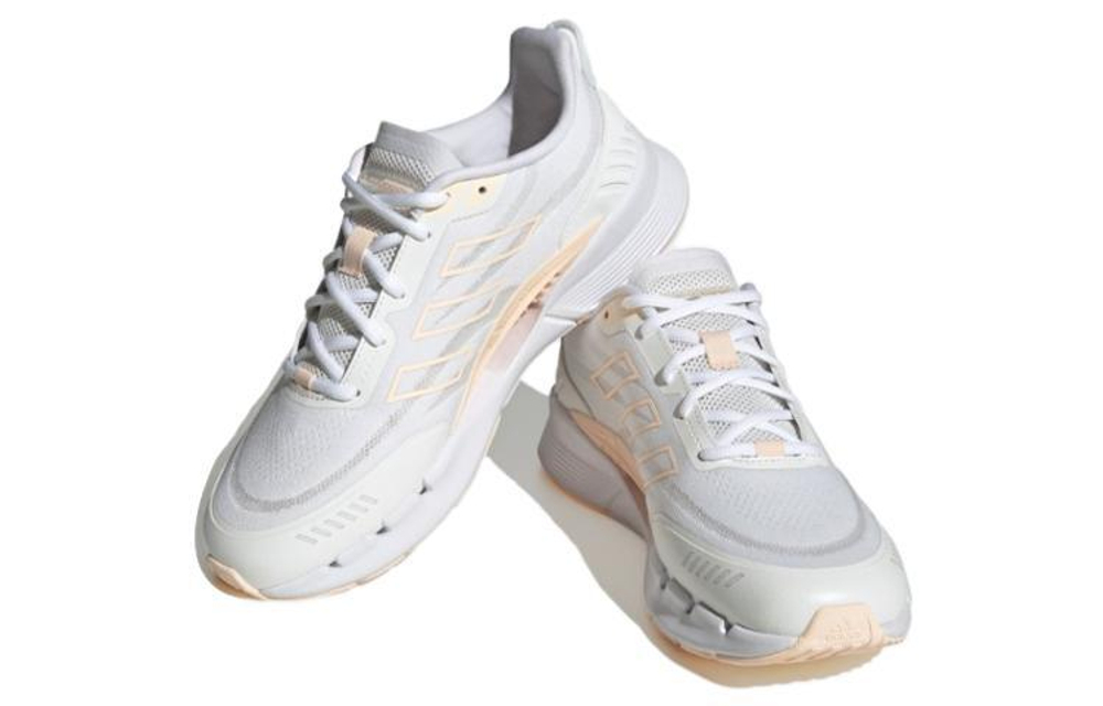 Кроссовки Adidas Climacool