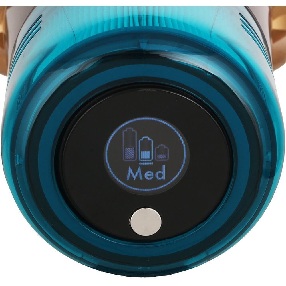 Пылесос Dyson V15 Detect Absolute Gold 447000-01