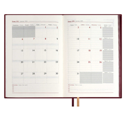 Ежедневник датированный 2025 ESCALADA, ИЛОН МАСК, А5, 176 л.,