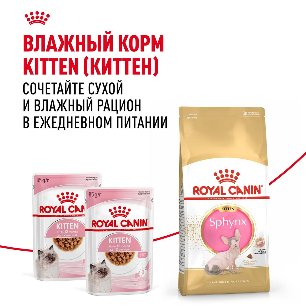 Royal Canin Sphynx Kitten Корм сухой сбалансированный для котят породы Сфинкс до 12 месяцев 2 кг