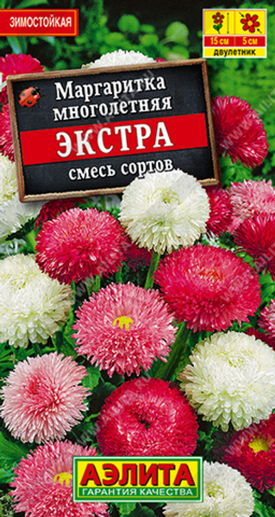 Маргаритка Экстра, смесь сортов