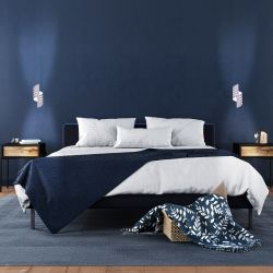 Светильник настенный ЭРА WL48 WH G9 IP20 белый