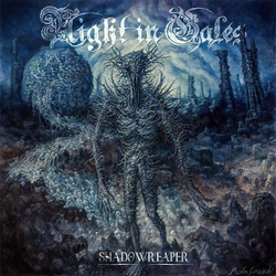 NIGHT IN GALES - Shadowreaper DIGIPAK, музыкальный компакт диск, meldic death metal