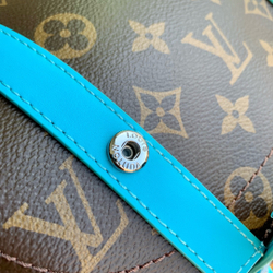 Louis Vuitton Christopher MM
