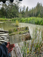 Картина авторская акварельная в паспарту 21х30 см на стену для интерьера "Пруд у беседки в Веребково"