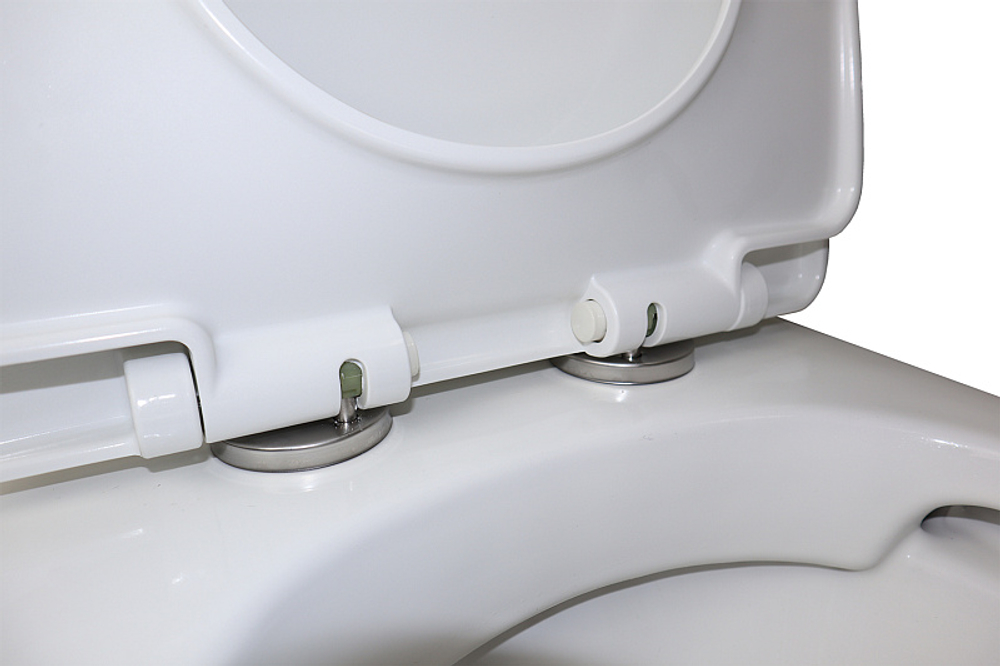 Унитаз моноблок Azario Luna 770x390x710 напольный, горизонтальный слив, сиденье дюропласт микролифт (AZ-1037)