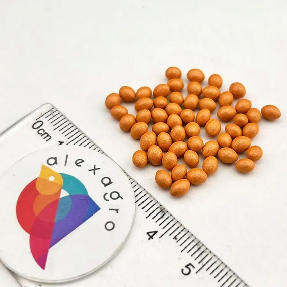 Олгада семена салата (Nunhems / ALEXAGRO) семена – фото 3