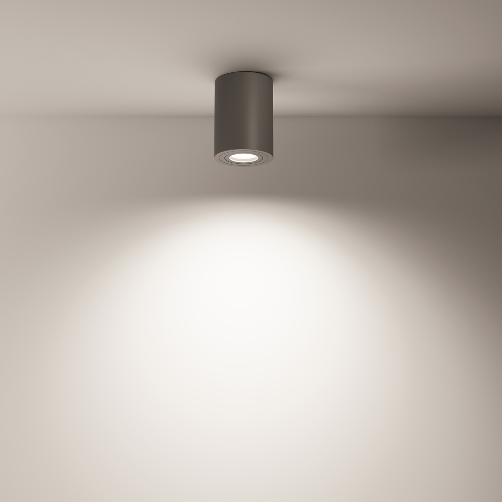 Накладной светильник Maytoni Alfa C016CL-01B