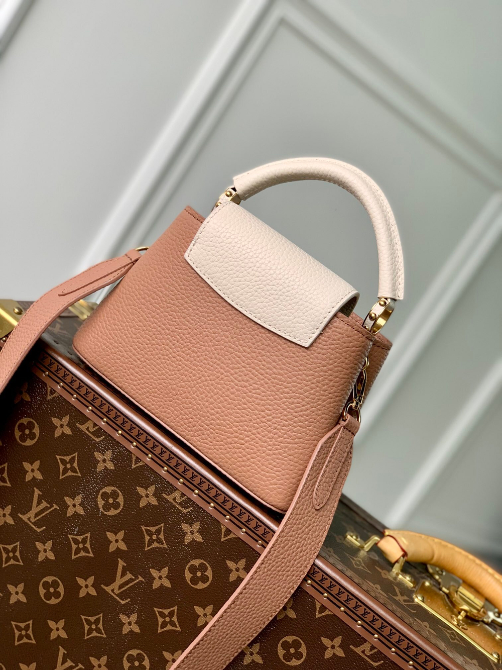 Louis Vuitton Capucines Mini