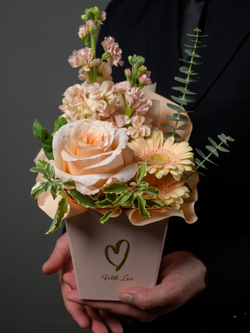 Сделать комплимент 1