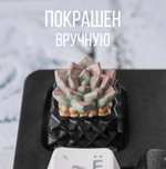 Кастомный кейкап "Суккулент розовый"