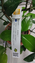 C. grandis × C. paradisi