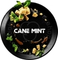 BlackBurn Cane Mint (Кейн Минт), 25 гр.