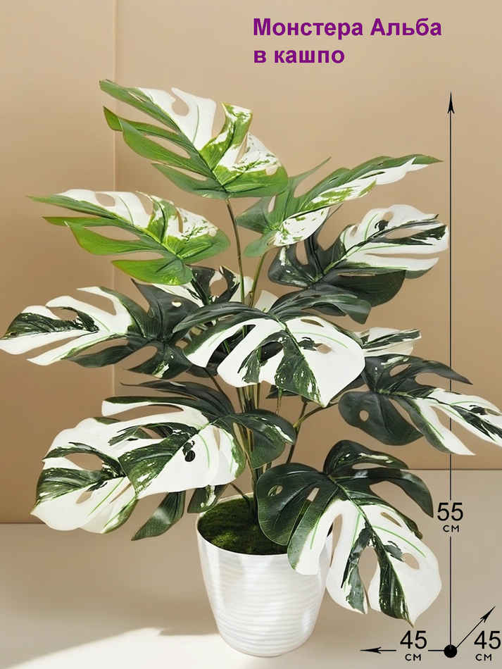 Искусственная Монстера Альба 55см в кашпо
